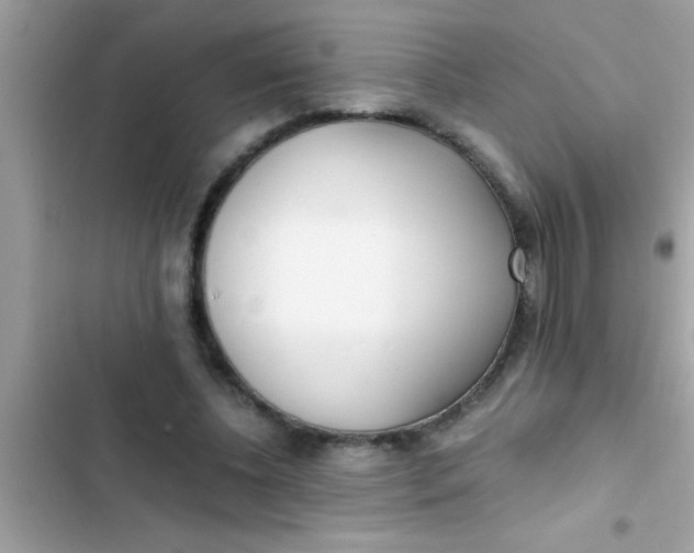 X0000103310540200809191920