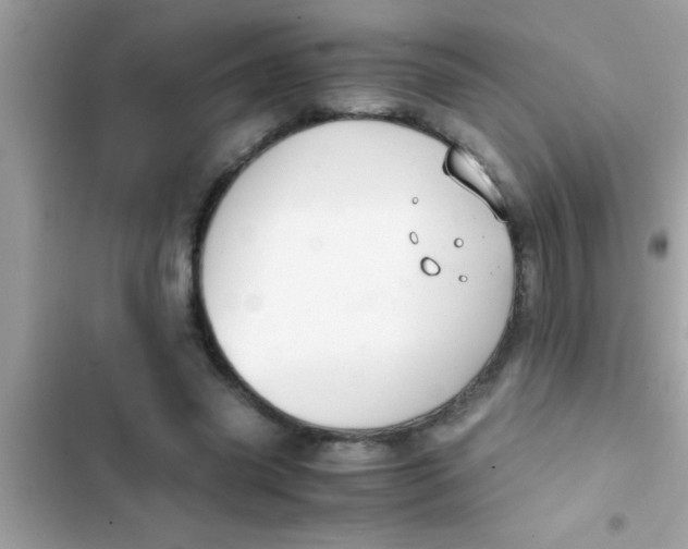 X0000103310541200809191920