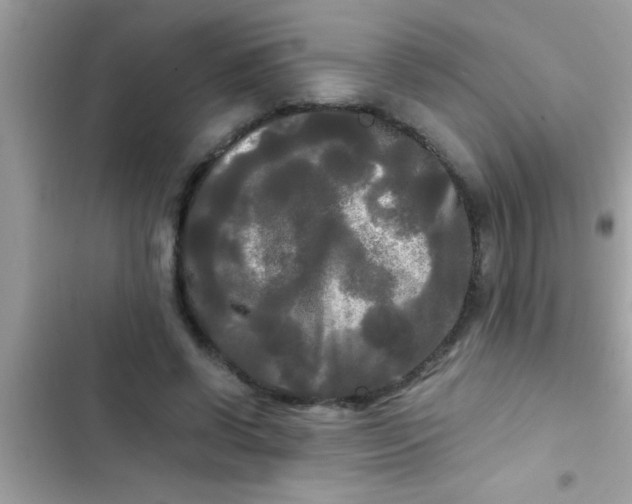 X0000103310542200809191920