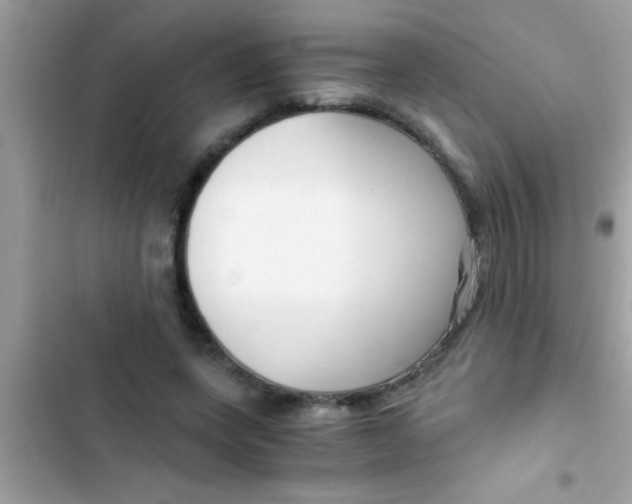 X0000103310543200809191920