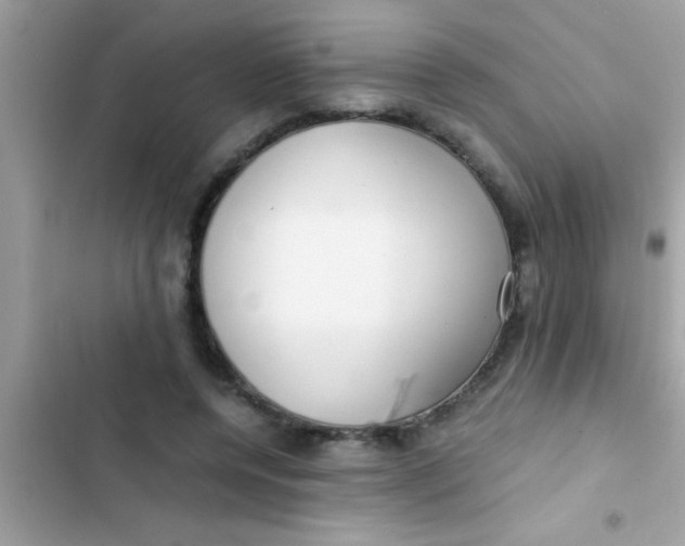 X0000103310544200809191920