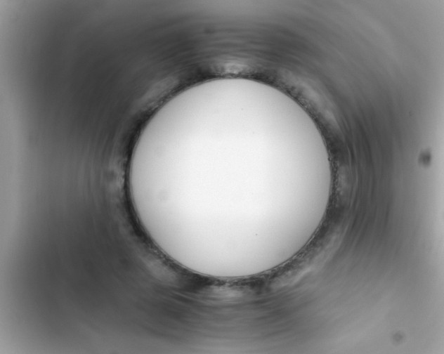 X0000103310545200809191920
