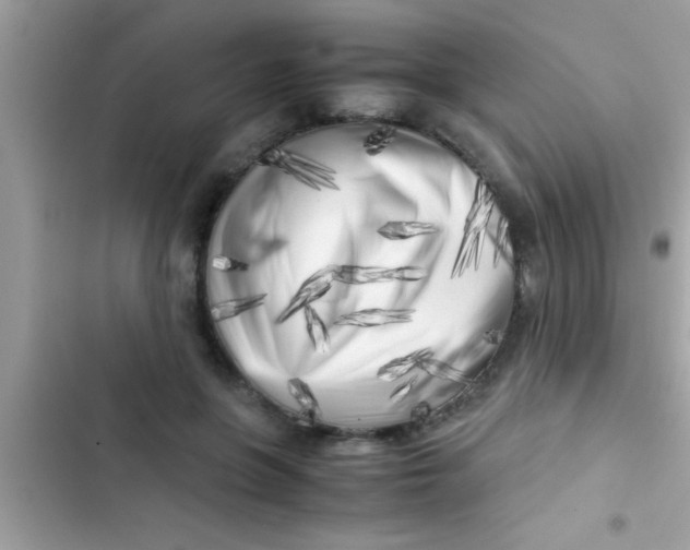 X0000103310551200809191920