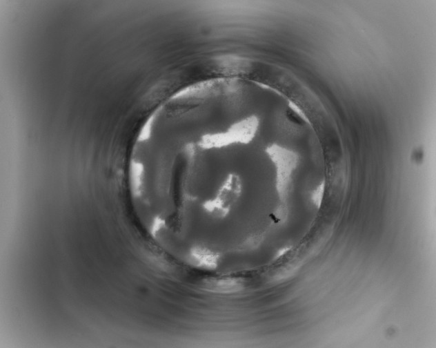 X0000103310553200809191920