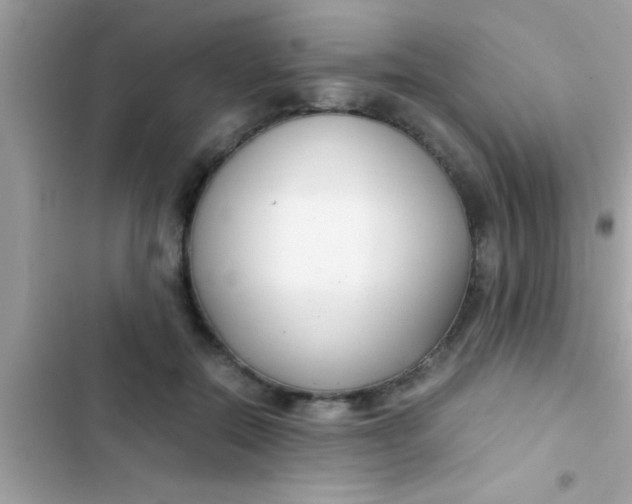 X0000103310554200809191920