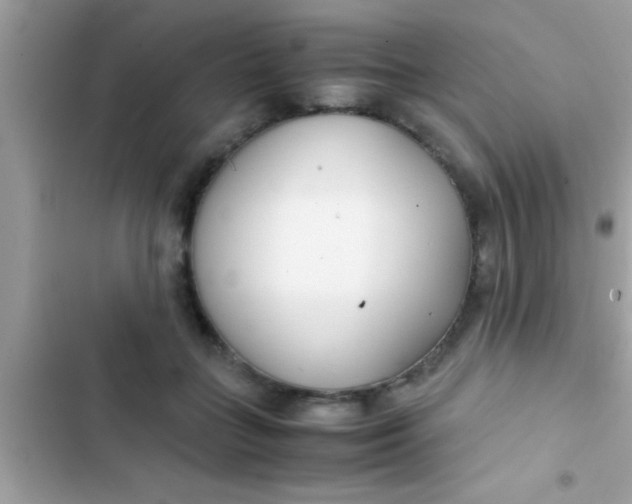 X0000103310555200809191920