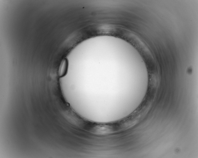 X0000103310557200809191920