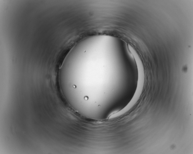 X0000103310558200809191920