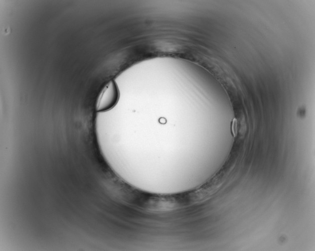 X0000103310559200809191920