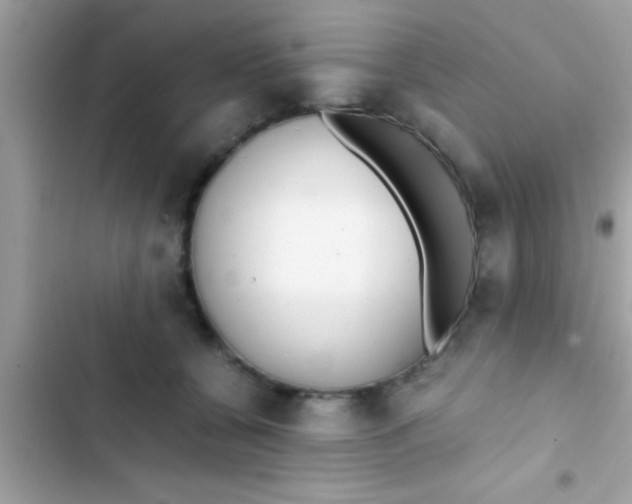X0000103310560200809191920