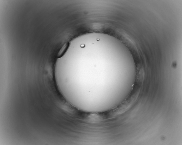 X0000103310562200809191920