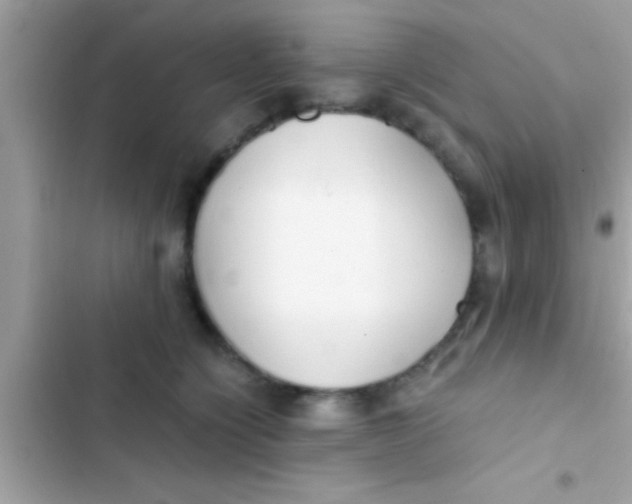 X0000103310564200809191920