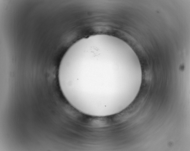 X0000103310567200809191920