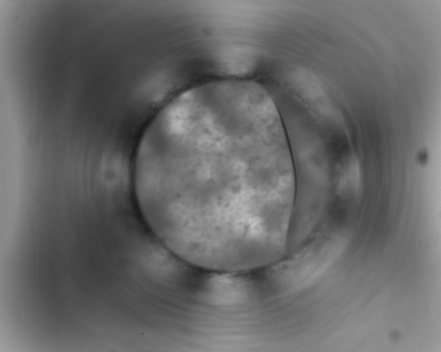 X0000103310568200809191920