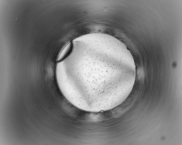 X0000103310570200809191920