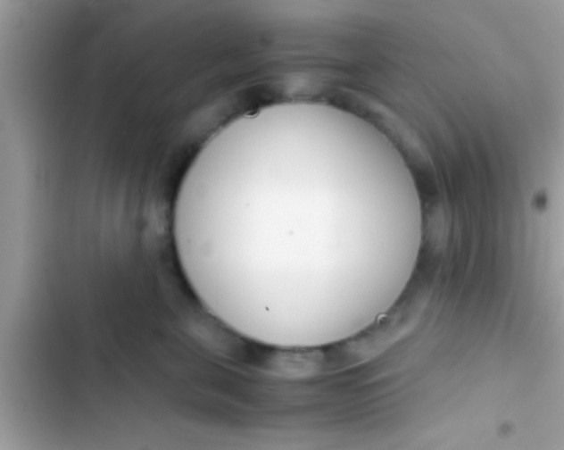 X0000103310571200809191920