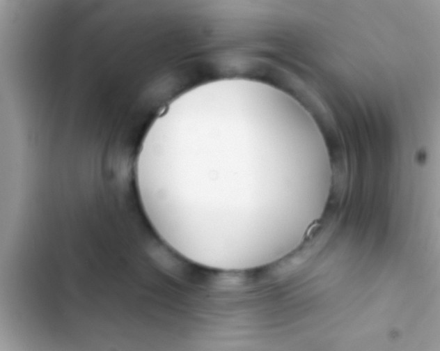 X0000103310574200809191920