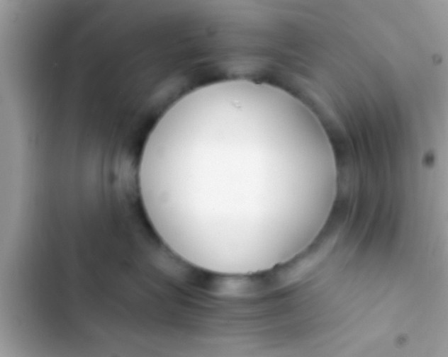 X0000103310575200809191920
