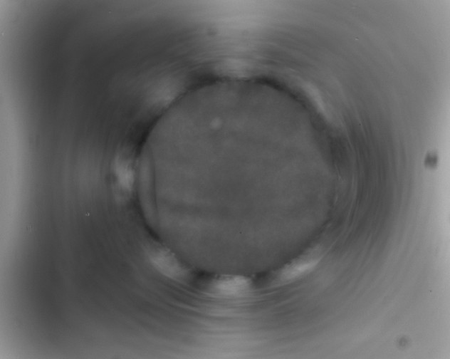 X0000103310576200809191920