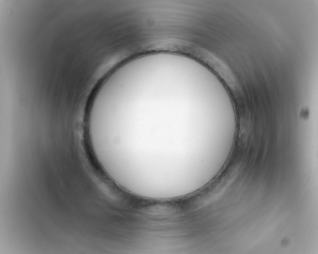 X0000103310578200809191919