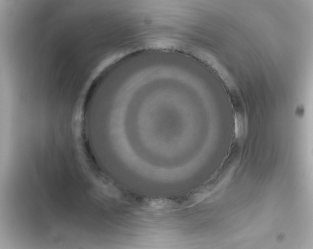 X0000103310579200809191919