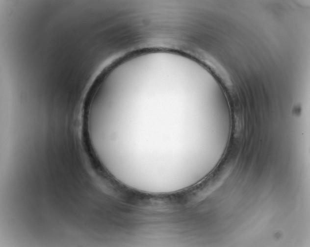X0000103310580200809191919