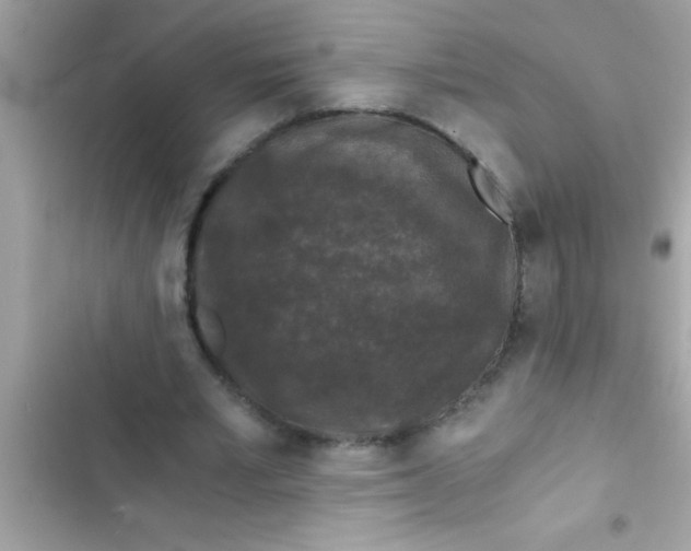 X0000103310581200809191919