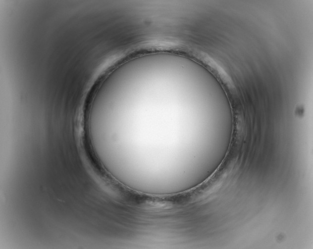 X0000103310582200809191919