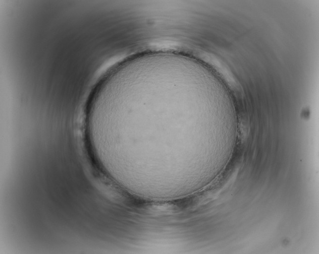 X0000103310583200809191919