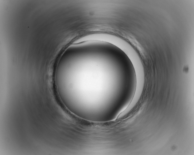 X0000103310585200809191919