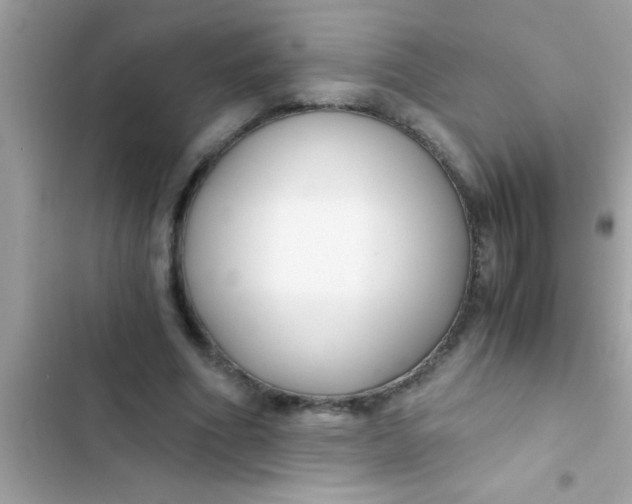 X0000103310586200809191919