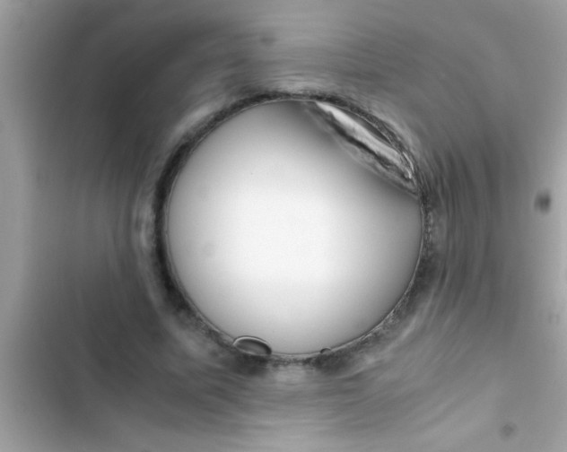 X0000103310587200809191919