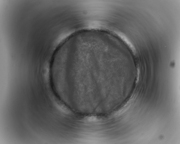 X0000103310588200809191919