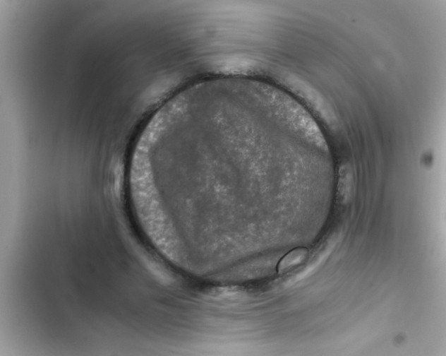 X0000103310589200809191919