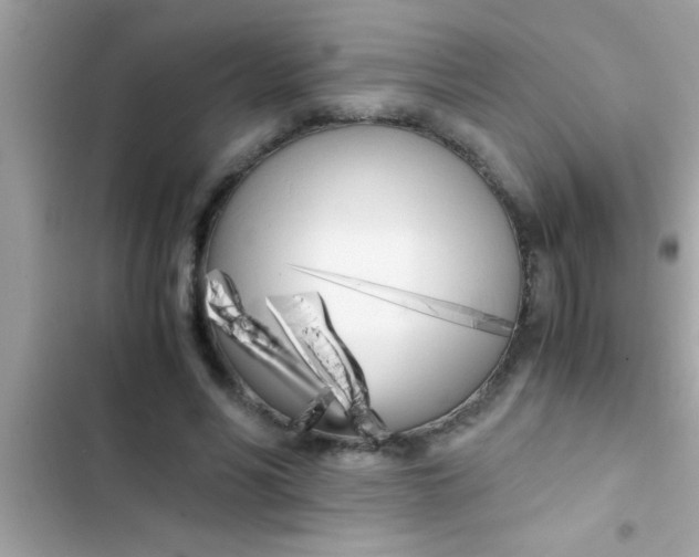 X0000103310590200809191919