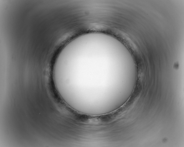 X0000103310591200809191919