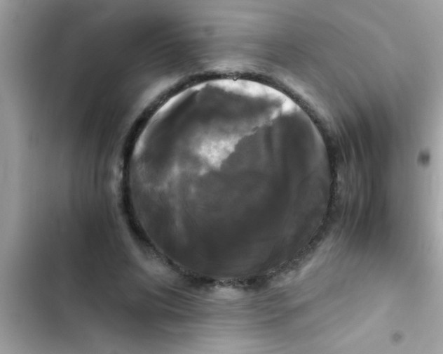 X0000103310592200809191919