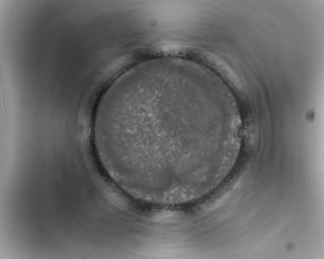 X0000103310593200809191919