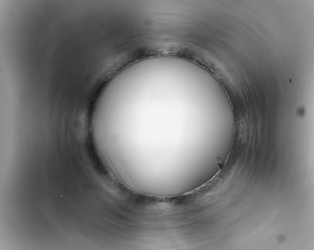 X0000103310594200809191919