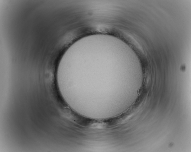 X0000103310595200809191919