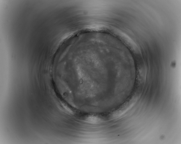 X0000103310596200809191919