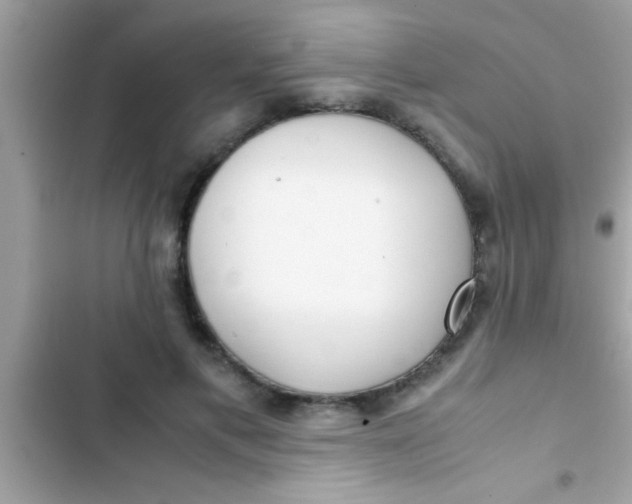 X0000103310597200809191919
