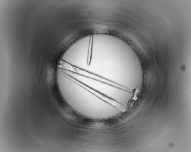 X0000103310598200809191919