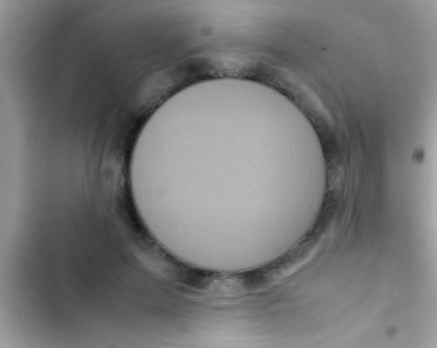 X0000103310599200809191919