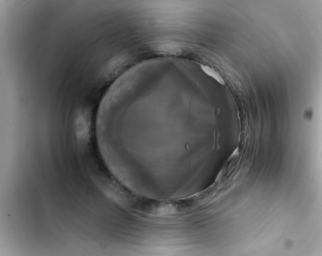 X0000103310600200809191919