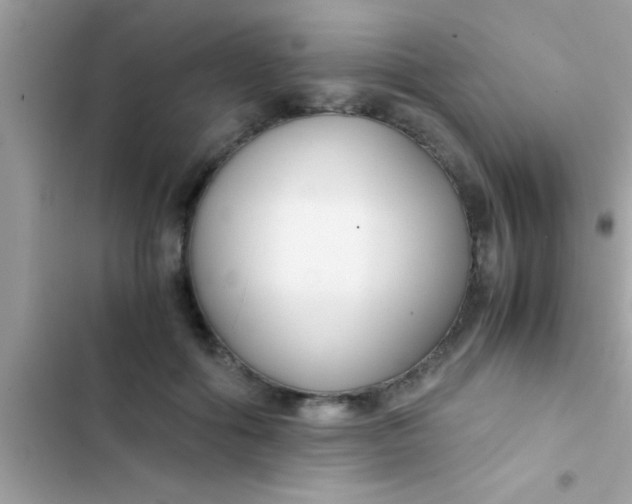 X0000103310602200809191919