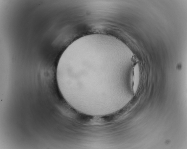 X0000103310603200809191919