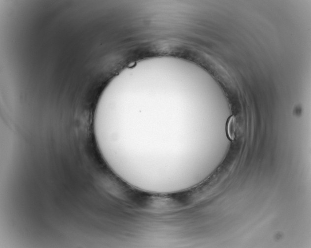 X0000103310605200809191919