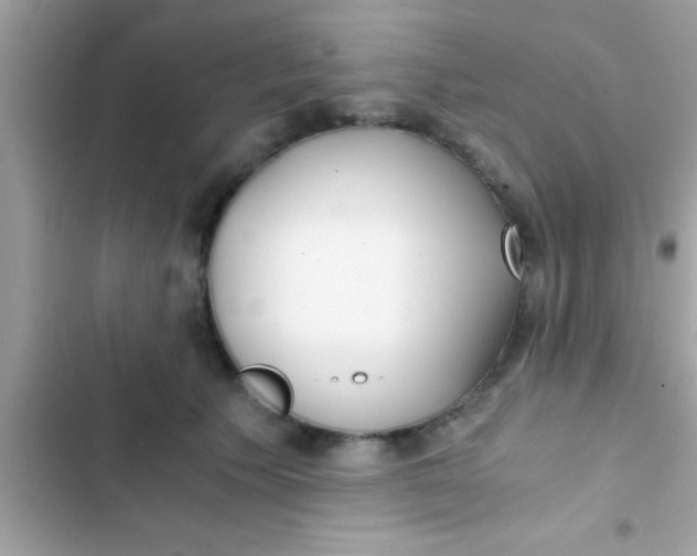 X0000103310609200809191919