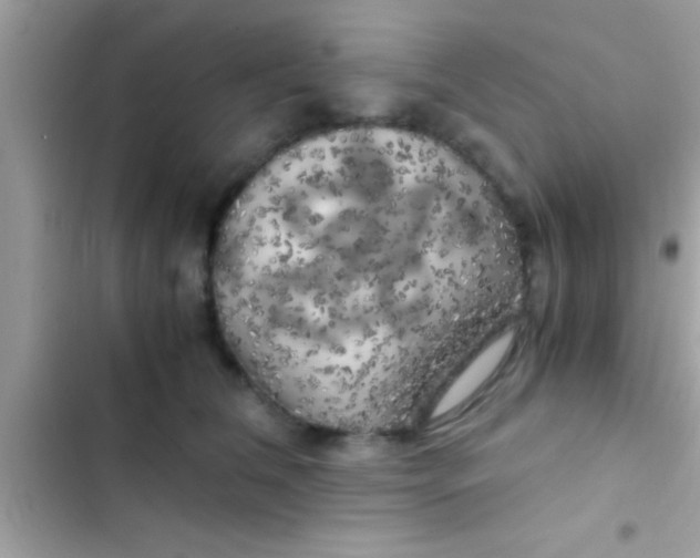 X0000103310612200809191919